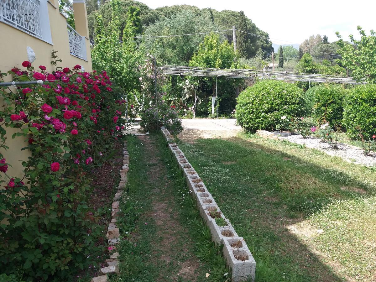 Athineos Apartments Kommeno  Buitenkant foto